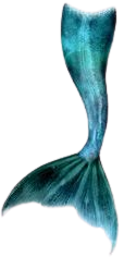 blue mermaid tail