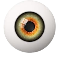 Eyeball Images, Stock Photos & Vectors | Shutterstock