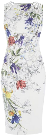 WHITE & FLORAL PENCIL DRESS | Karen Millen