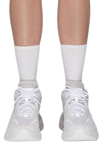 shoes with socks png
