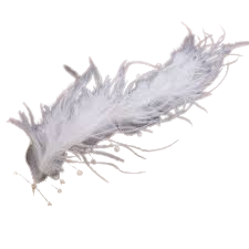 regency white hair feather - Google Search