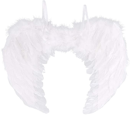 Amazon.com: Feather Angel Wings Christmas Halloween Fancy Dress Costume Hen Night Party : Clothing, Shoes & Jewelry