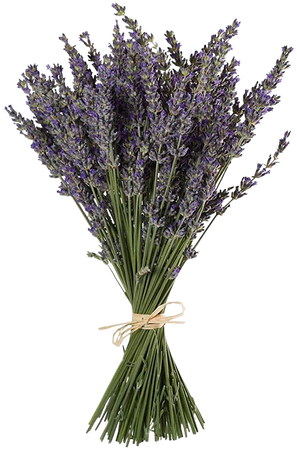 TooGet Natural Lavender Bundles, Freshly Harvested 100 Stems Dried Lavender Bunch 16" - 18" Long, Decorative Flowers Bouquet for Home Decor, Crafts, Gift, Wedding or Any Occasion: Amazon.com: Grocery & Gourmet Food