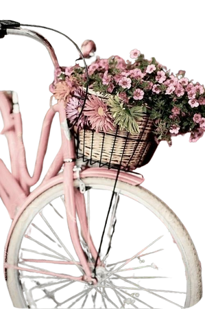 Paris Pink Bike