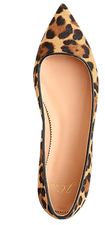 Pointed-toe flats in leopard calf hair - Women's Footwear | J.Crew