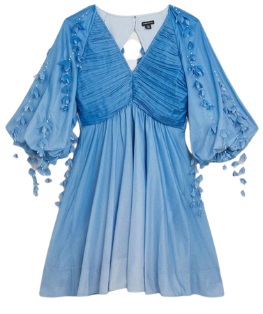 Cotton Applique Detail Woven Mini Dress | Karen Millen