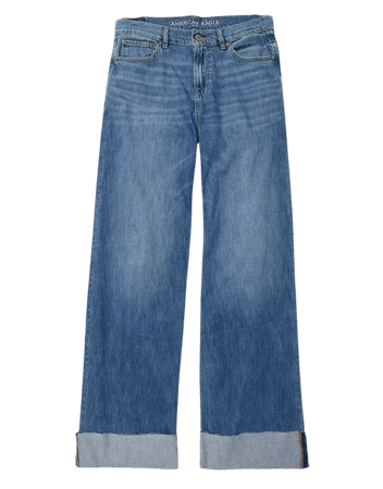 AE Low-Rise Baggy Wide-Leg Jean