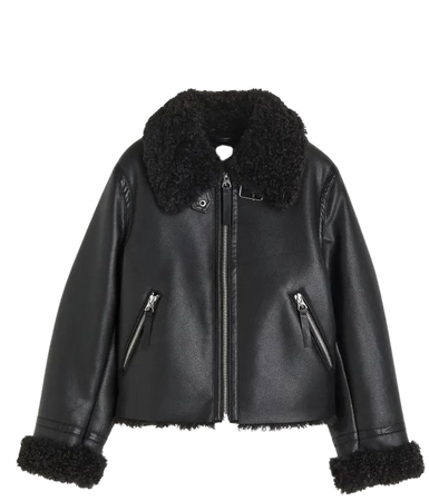 Teddy-lined Jacket - Black - Ladies | H&M US
