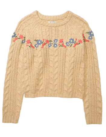 AE Embroidered Sweater