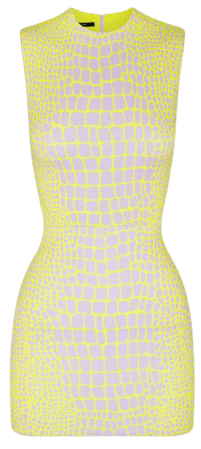 Dallon Stretch Mini Dress By Alex Perry | Moda Operandi