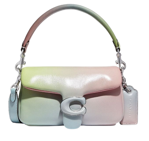 colorful pastel coach purse