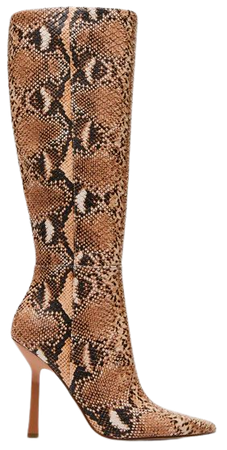 KATHLEEN Natural Snake Point Toe Knee High Boot | Women's Shoes – Steve Madden