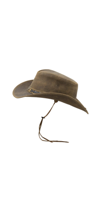 Brown Equastrian Cowboy Hat