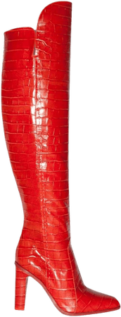 JESSICABUURMAN – RAKIO Crocodile Leather Knee High Boots