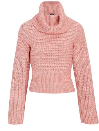 Chunky Turtleneck Cropped Sweater | Express
