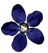 blue flower