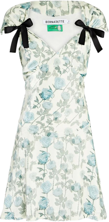 Juliette Floral Velvet Mini Dress