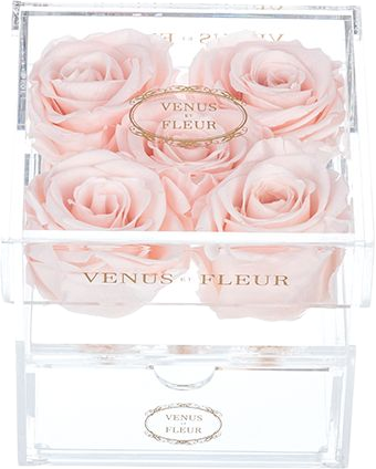 Five Eternity® Roses In Clear Container - Luxury Roses | Venus ET Fleur