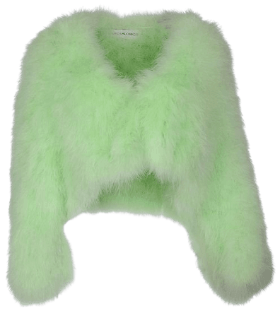 green fur jacket png