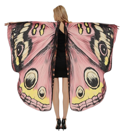 fairy butterfly wings