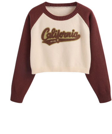 California Two Tone Round Neckline Sweater Curve & Plus - Cider