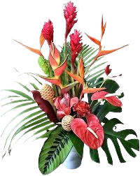 tropical flowers and plants no background - Google Search