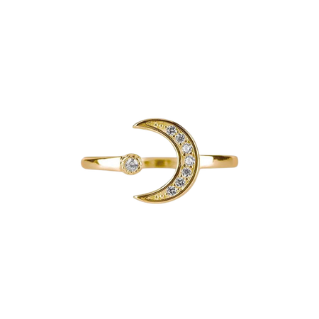 INDU. Moon & Star Gold Ring – REGALROSE