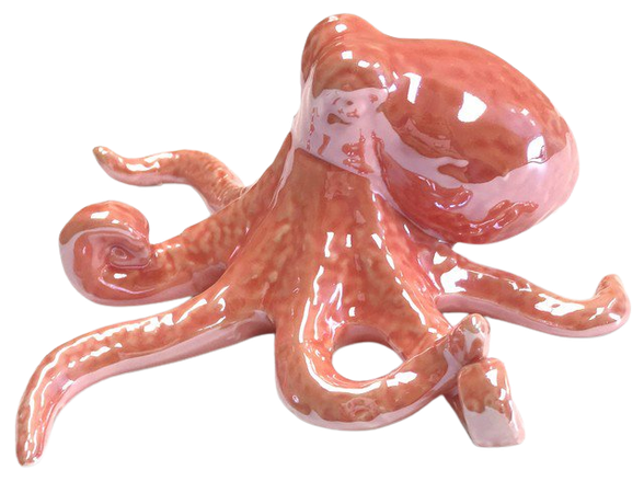 coral color octopus