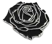 Black Rose Pin - Strange Ways - Pinterest