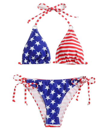 American Flag Print Halter Triangle Bikini Swimsuit | SHEIN USA