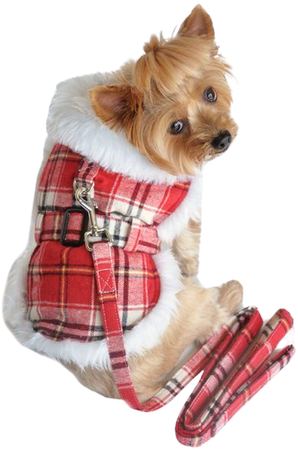 red plaids coats dogs - Google Search