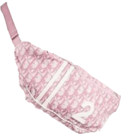Pink Dior Bag