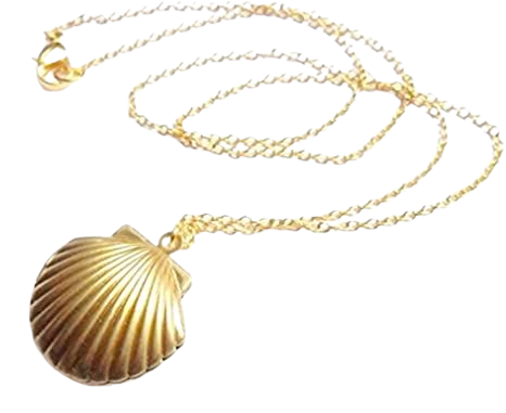 Amazon.com: MagicW Seashell Locket Pendant Necklace Sea Shell Locket Necklace Gold Tone Brass Locket Ocean Beach Locket Jewelry : Clothing, Shoes & Jewelry