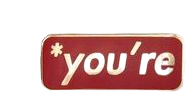 "*you're" pin