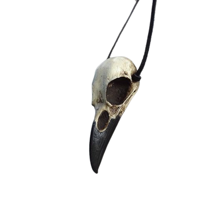 Large Raven Skull Pendant Bone