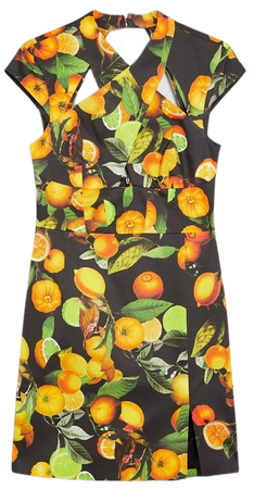 Italian Signature Citrus Print Cross Front Mini Dress | Karen Millen