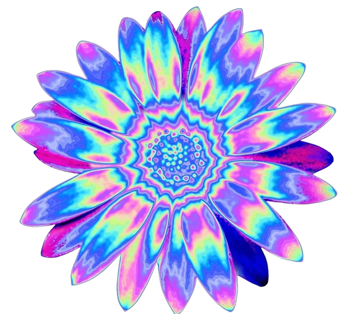 Holographic Flower