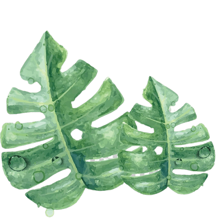 Leaf Watercolor painting Green Skin, Watercolor green leaves, twoswiss cheese leaves PNG clipart | free cliparts | UIHere