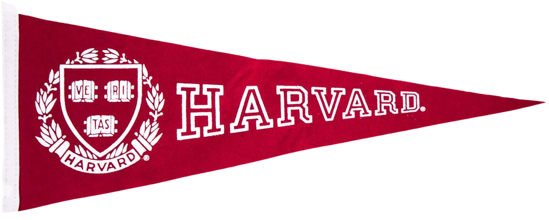 Large Harvard Pennant – The Harvard Shop