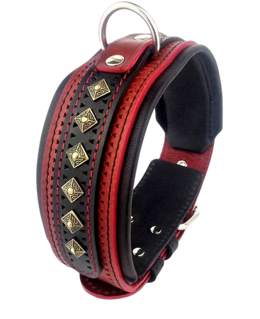 Bestia BALTEUS studded leather dog collar 2.5 inch wide