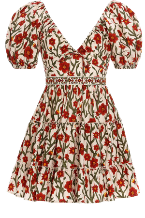 Manzanilla Floral Cotton Poplin Mini Dress By Agua By Agua Bendita | Moda Operandi