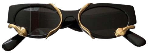 Sunglasses Alexander Wang Black in Other - 12611965