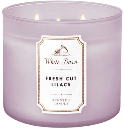 fresh cut lilacs scented candle white barn