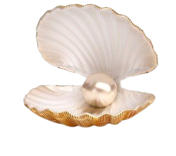 shell png filler white