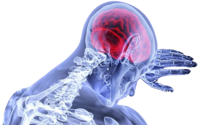Does the Brain Really Feel No Pain? - Neuroscience News