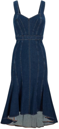 Denim Sweetheart Neckline Seamed Fit And Flare Midi Dress | Express