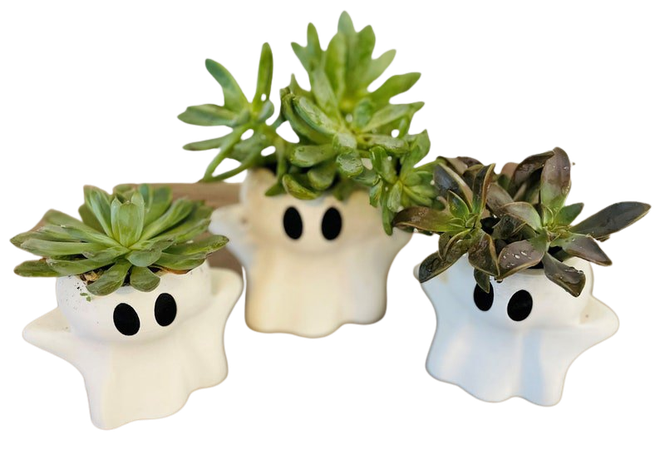 Halloween Ghost Planter | Etsy