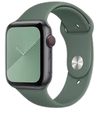 apple watch green band - Google Search