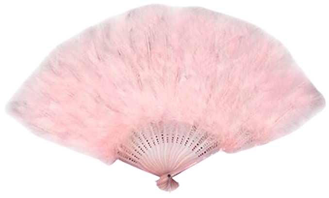 Amazon.com: Large Baby Pink Feather Hand Fan New for Halloween costume: Clothing