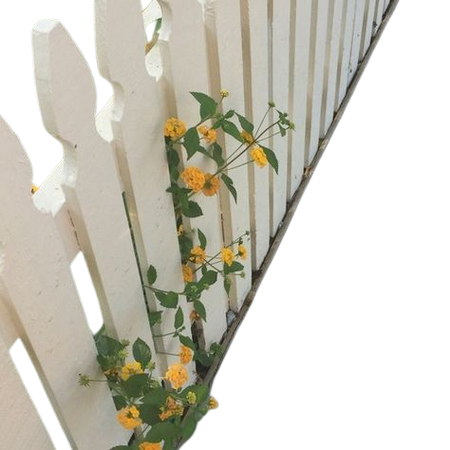 white wooden picket fence suburban aesthetic